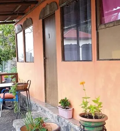 Amigos De La Naturaleza *