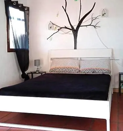 住宿加早餐酒店 阿米果德拉那图拉乐扎住宿加早餐旅馆 Las Manchas (La Palma)