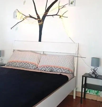 Amigos De La Naturaleza