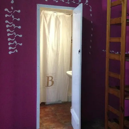 Amigos De La Naturaleza Bed & Breakfast