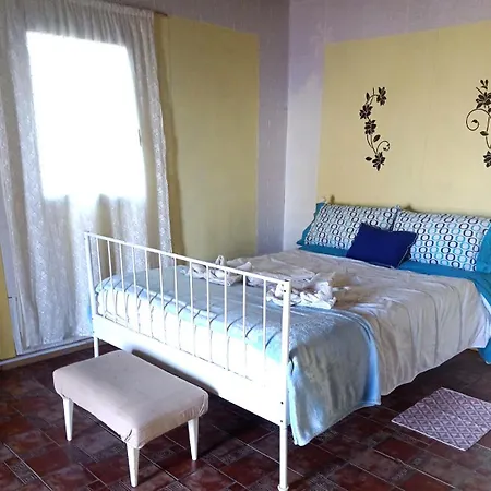 Amigos De La Naturaleza *